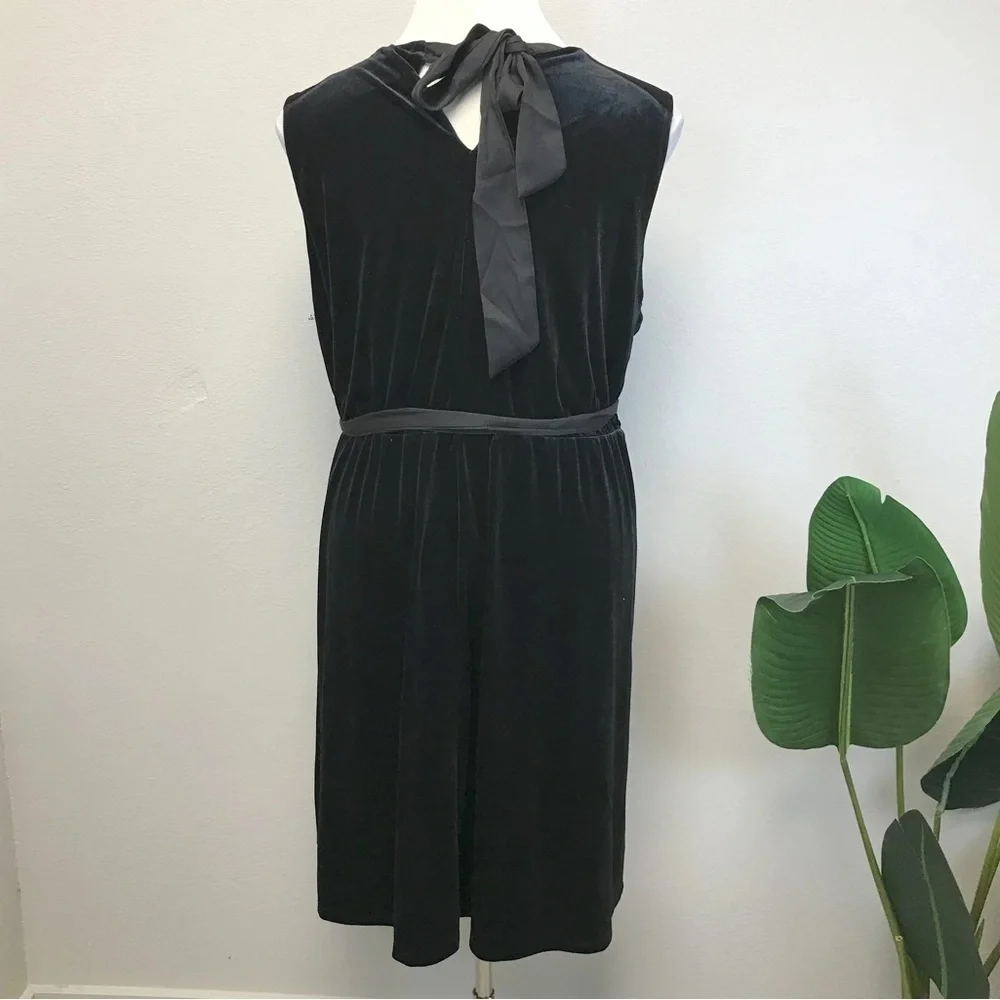 Draper James RSVP Velvet Bow Back Dress - Size 3X
